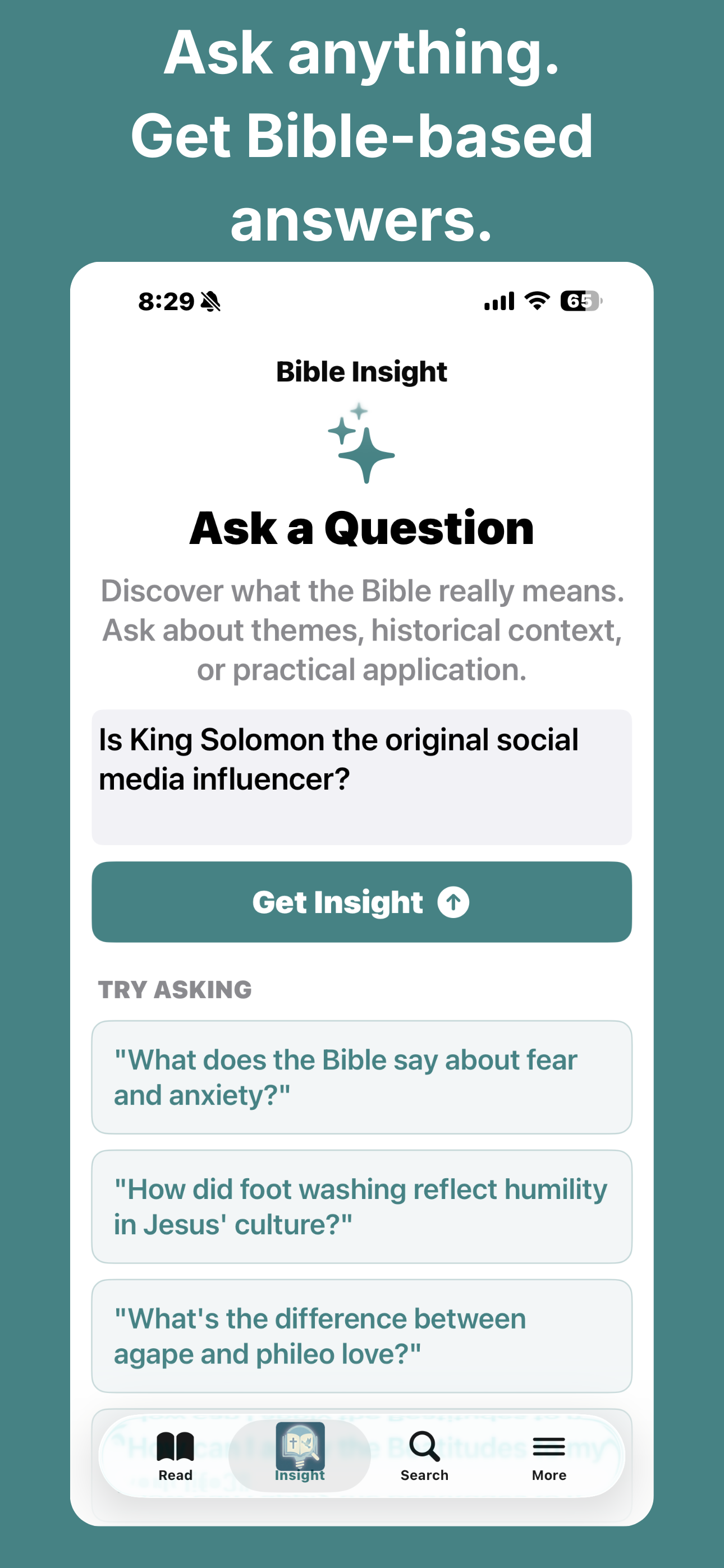 Biblical Insight Screenshot